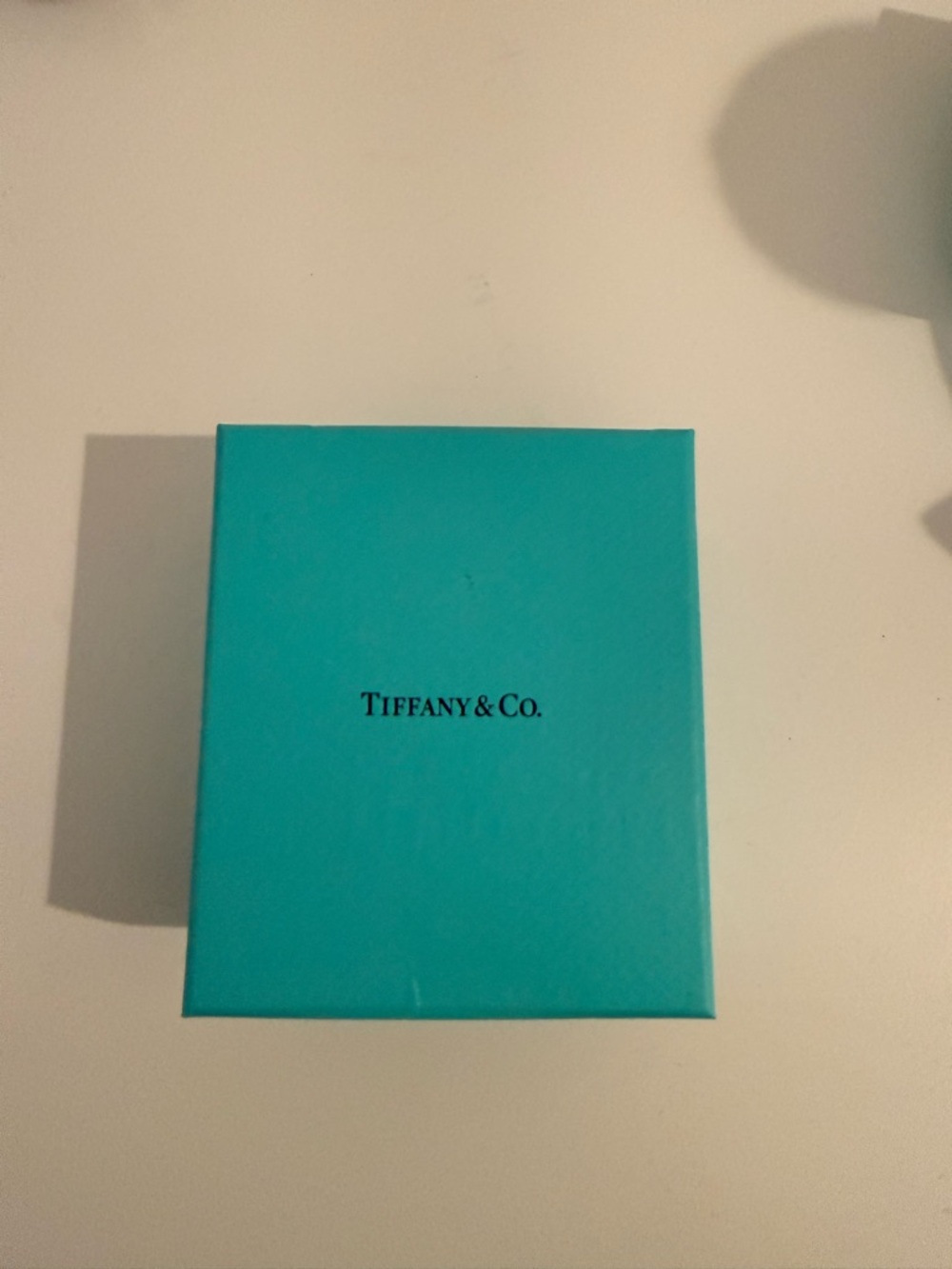 Tiffany & Co. Robin's Egg Blue Gift Box with Logo